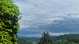 Seeblick in Feldberg - Feldberg - 7