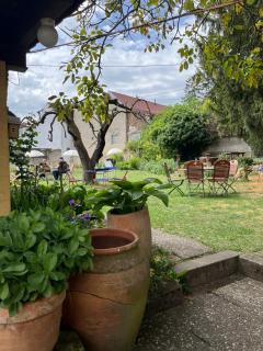 Hiestand's Gästehaus - Weingut & Hofbrennerei - 3