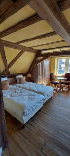 Hotel Saint-Martin - Colmar - 9