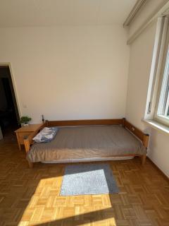 Bright room in Lugano - Lugano - 8