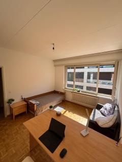 Bright room in Lugano - Lugano - 7