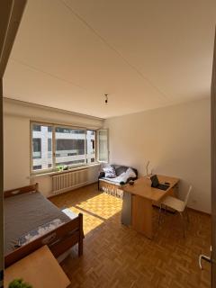 Bright room in Lugano - Lugano - 5