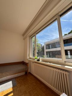 Bright room in Lugano - Lugano - 3