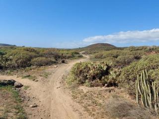 Apartament Tenerife - Guargacho - 2