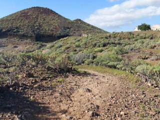 Apartament Tenerife - Guargacho - 1