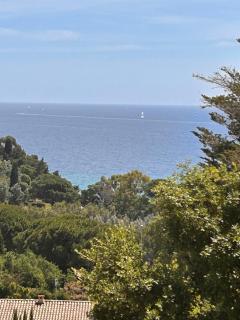 GOODLIFEPRAMOUSQUIER classe 3 etoiles Appartement 2 ch, belle vue mer et nature, calme et plage à pied - Le Lavandou - 9