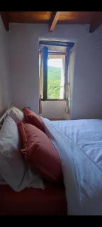 Maison typique de village Corse , 10 min aéroport et de la mer - Prunelli-di-Casacconi - 7
