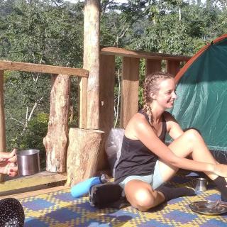 ORANGUTANTREKSUMATRA & LOVELY JUNGLE LODGE only book IF you are treking with us - Bukit Lawang - 0