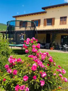Agriturismo La Fattoria - Norcia - 3