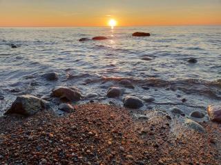 Róża Wiatrów Leśny Klif 2 - 3