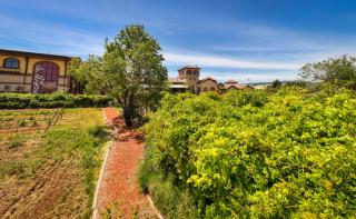 Bengodi Boutique Hotel - 1