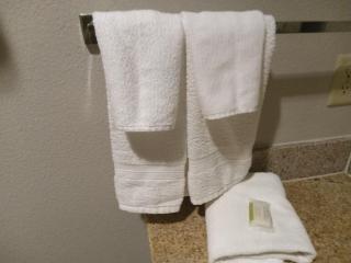 Crash Pad - Houston - 1