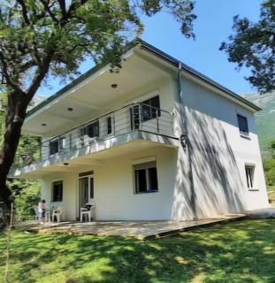 Forest House Čanj - Čanj - 0