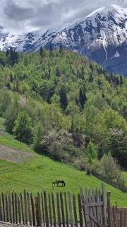 Guest house Calgmli - - 3