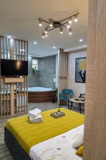 VANIMI lux apartmani - Kikinda - 6