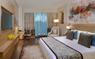 Hotel Grand Daira Near IGI Airport Delhi - Nuova Delhi - 4