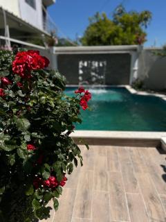 Ilirida-Swimming pool & garden view rooms for rent - 1