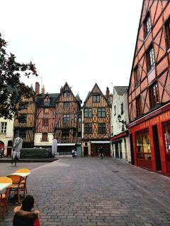 Le nid des Landes - 5