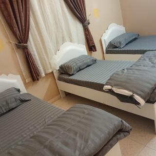 الريادة المدينة المنورة - Medina - 8