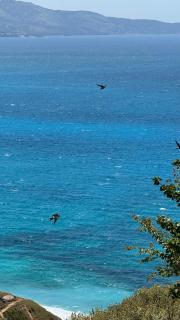 Vila Bedro - Saranda - 9