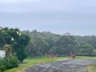 Kalashe Bed & Breakfast - 1