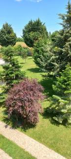 Large Garden Family Apartment - Paralia Katerinis - 3