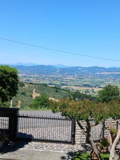 Poggio La Grognola - Cannara - 9