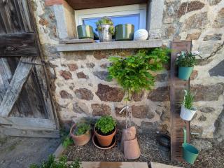 La Provende - - 3