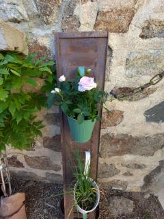 La Provende - - 2