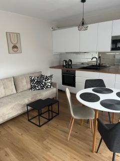 Apartament 22 - Resort Izerski - Świeradów Zdrój - Świeradów-Zdrój - 0