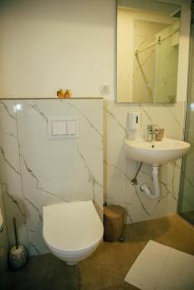 Wellness Spa Hotel Zeleni Raj - 8