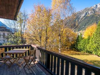 Chaleureux appart 4 pers avec terrasse et wifi, Chamonix centre - FR-1-343-222 - Chamonix-Mont-Blanc - 1