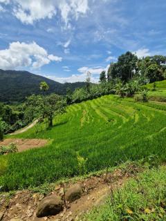 Heeloya mount view garden knuckles trekking ,Heeloya village walk - - 9