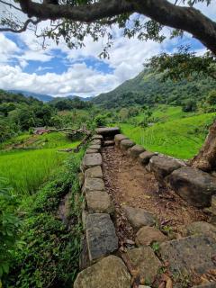 Heeloya mount view garden knuckles trekking ,Heeloya village walk - - 7