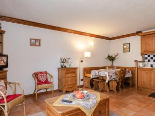 Bel appartement central avec balcon et parking à Chamonix - FR-1-343-236 - Chamonix-Mont-Blanc - 1