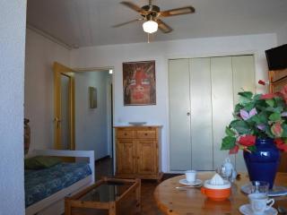 Studio 4 personnes proche plage, animaux admis, Saint-Cyprien - FR-1-225D-2 - Saint-Cyprien-Plage - 7
