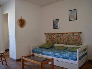 Studio 4 personnes proche plage, animaux admis, Saint-Cyprien - FR-1-225D-2 - Saint-Cyprien-Plage - 1