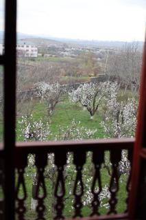 Villa Vintage - Mrgashen - 6