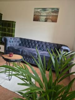 Apartment am Boselgarten - Coswig - 9