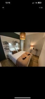 CHAMBRE COCOONING centre ville des Sables D'Olonne quartier Gare Saint Michel située à 1 kilomètre du remblai - Les Sables-dʼOlonne - 9