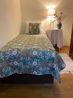 Cozy Apartment Steyr Mitte, ruhig, Parkplatz, Terasse, 2 Schlafzimmer, WLAN - Steyr - 6