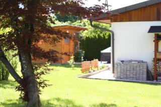 Wiedehopf - Rattendorf - 7