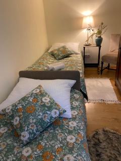 Cozy Apartment Steyr Mitte, ruhig, Parkplatz, Terasse, 2 Schlafzimmer, WLAN - Steyr - 5