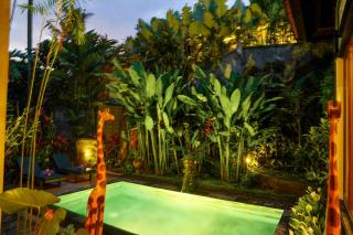 Ubud Atmosphere Private Villa - Ubud - 4