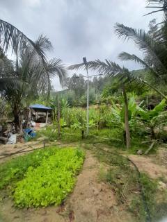 Win Home Stay - Kon Rung (1) - 1