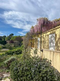 La Maison Gina - Ginasservis - 5
