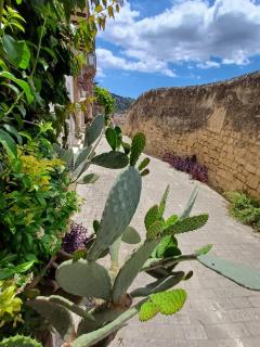 A casa di Carmen - Modica - 6