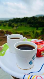 Kaladri Sahyadri Hill Farm Stay - Purandhar - 1