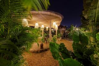 Scenic Mountain Ecolodge Ninh Binh - Ninh Binh - 8