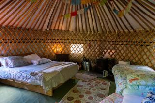 Hapus Yurt - Two Beautiful Yurts and Barn Cottage - 4